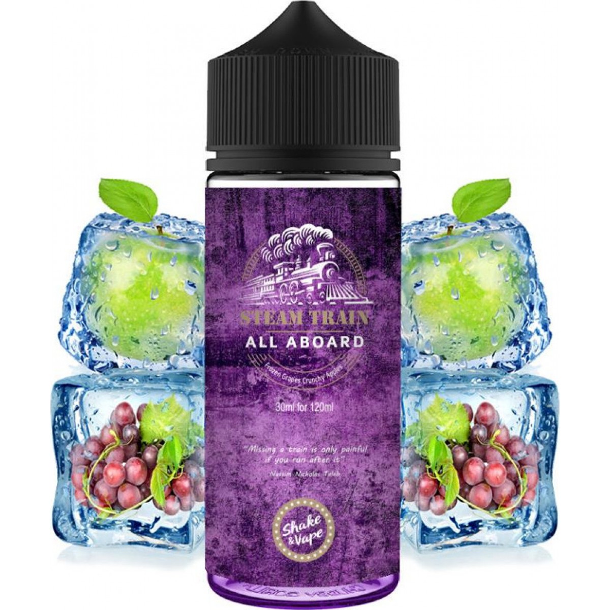 Steamtrain All Aboard Flavorshot 24ml/120ml